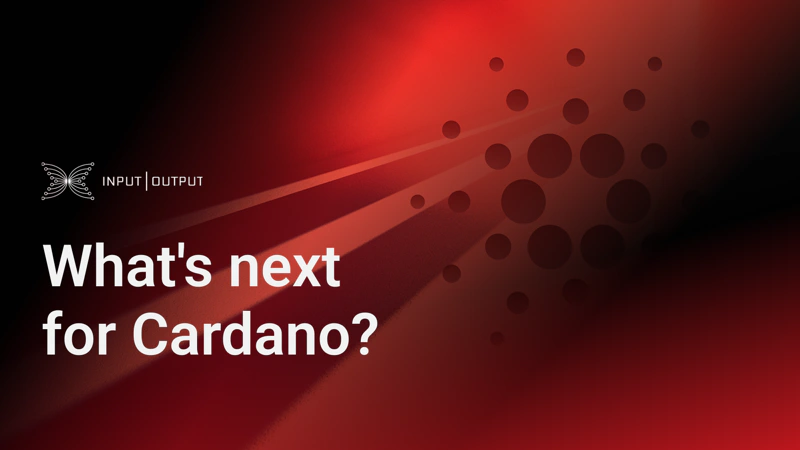 weekly development report